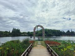 -尚湖风景区