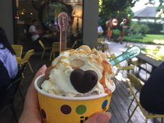 -莓园冰淇淋店