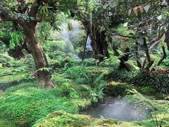 -Chom Cafe and Restaurant