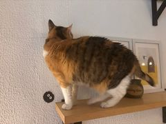 -隅cafe(傅厚岗店)