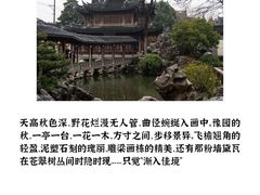 -秋霞圃