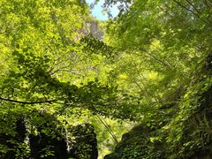 -野三坡百里峡景区