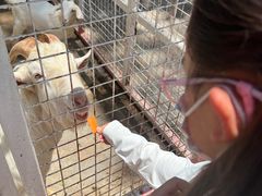 -J Create城市露营咖啡·简餐·宠物(上海动物园店)