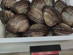 -渔家乐小海鲜(皇姑店)