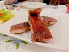 脆脆BB猪-翠园(北京王府中环店)