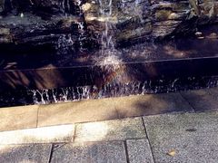 iphone_upload_pic-西湖天地