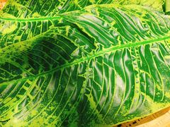 -甘家界牌柠檬鸭(青山店)