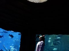 -郑州银基国际旅游度假区