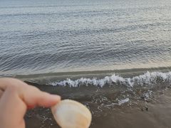 -南长涂沙滩