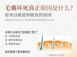 -Bollins波林丝•专研护发中心