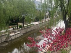 -元大都城垣遗址公园