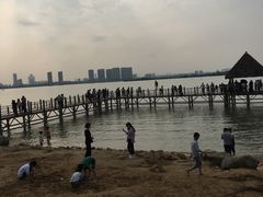 -瑶湖郊野森林公园