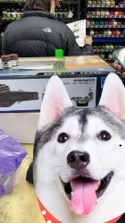 -新时模型(新街口店)