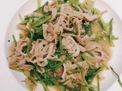 -紫光园·烤鸭·北京菜(团结湖店)