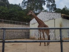 -泉州海丝野生动物世界