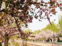 景点-海棠花溪(元大都城垣遗址公园)