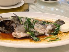 -大东海海鲜酒楼(渔人码头总店)