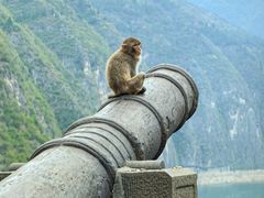 -白帝城·瞿塘峡景区