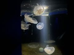 -欢乐海岸海洋奇梦馆