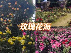 -郑州植物园