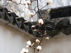 -艺圃