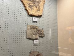 -辽宁古生物博物馆