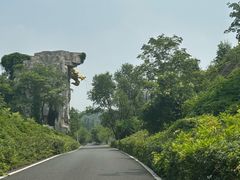 -宜兴龙背山森林公园