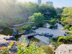 -上海吴淞炮台湾国家湿地公园