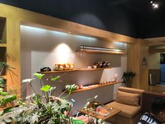 -柴务处·柴犬主题狗咖