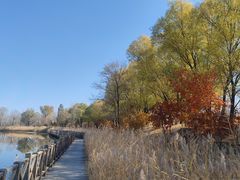 -野鸭湖国家湿地公园