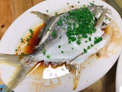 清蒸金仓鱼-田源农家饭店·窑鸡王·海鲜(东部湾·融创店)