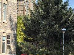 -辽宁大学(崇山校区)