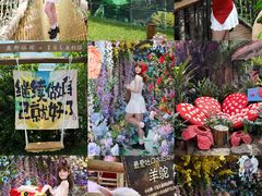 -正佳雨林生态植物园