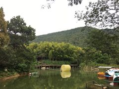 -宝岩生态观光园