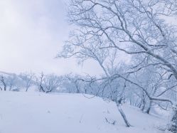 -大秃顶子山