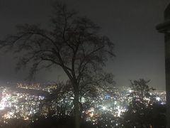 -东湖落雁景区