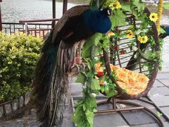 -玻璃桥景区石牛寨