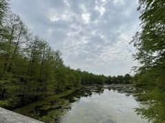 -上海海湾国家森林公园