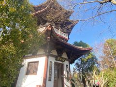 -武汉园博园(武汉自然博物馆)