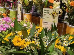 -鹿岛生活(熙地港店)