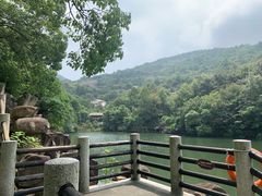 -白马涧龙池景区