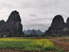 -明仕田园
