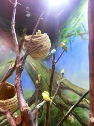 -宝燕乐园(闵行旗舰店)