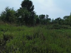 -绿堤公园