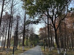 -西溪国家湿地公园