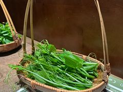 -蘑界·野生菌火锅(深业上城店)