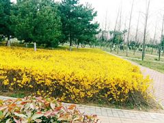 -洨河生态公园