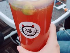 -豆老板的猫咖啡(碑林博物馆店)