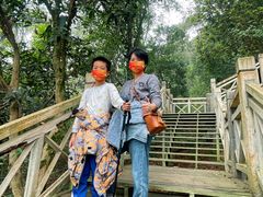 -南宁良凤江国家森林公园