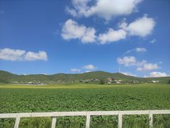 -丰宁坝上草原